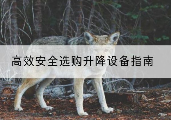 蚌埠升降货梯厂家推荐-*安全选购升降设备指南