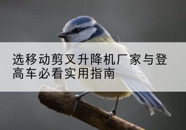 蚌埠电动升降机厂家-选移动剪叉升降机厂家与登高车必看实用指南